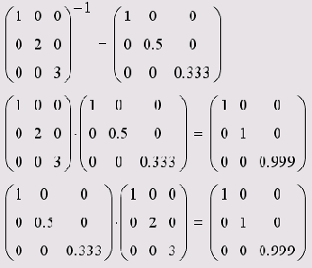 ����� �������� �������